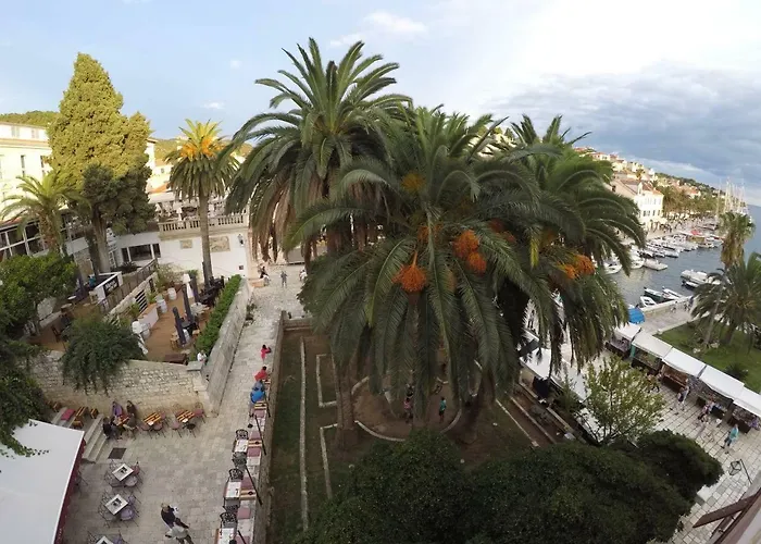 Novak Bonaparte - Hvar Center