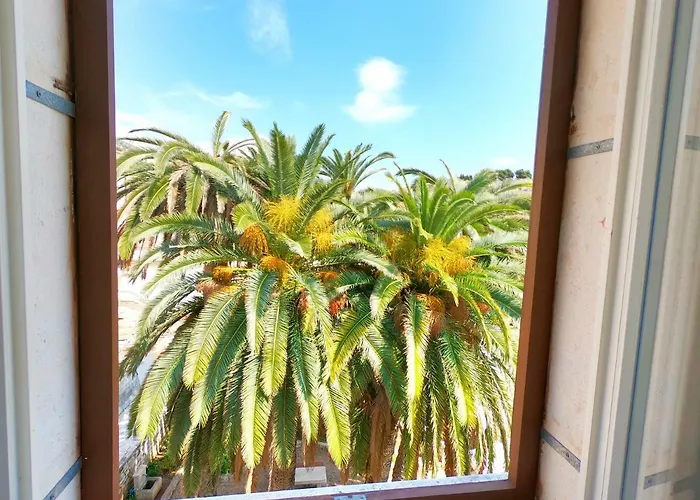 Novak Bonaparte - Hvar Center フヴァル